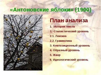 Антоновские яблоки название