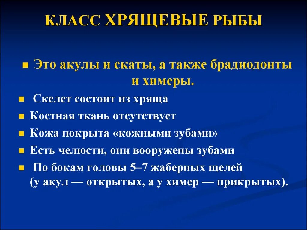 Хрящевые рыбы 5 класс. Хрящевые рыбы. Класс хрящевые рыбы. Хрящевые и костные рыбы презентация. Хрящевые рыбы 7 класс.