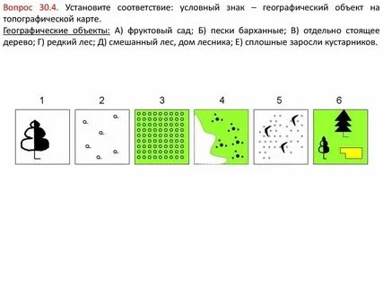 План местности фруктовый сад