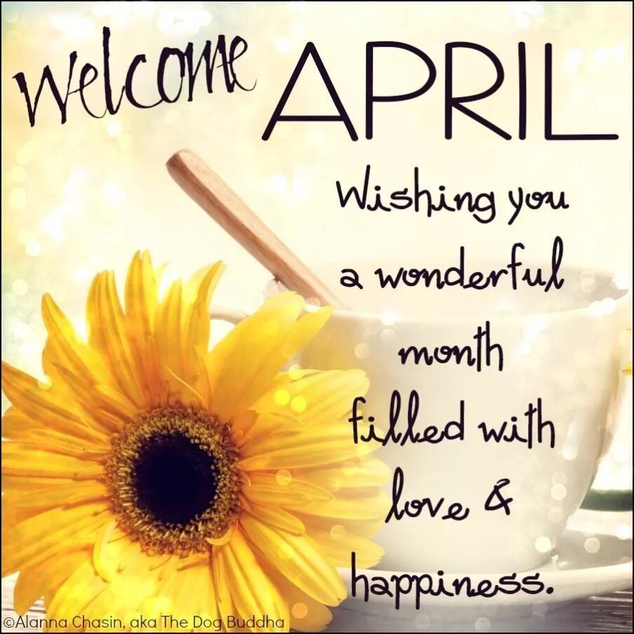 Wishing you love happiness. Wish you health. Wedding day wishes. Happy birthday wishing. Wedding day congratulations.
