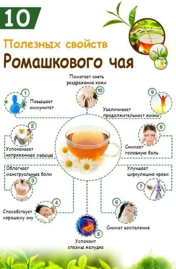 Ромашка для сна. Чай ромашка чем полезн. польза ромашкового чая. польза ромашкового чая дл. ромашковый чай полезные.