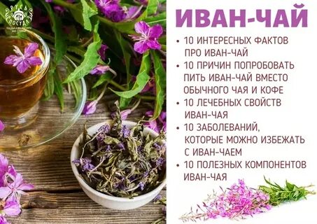 Что будет если каждый день пить чай