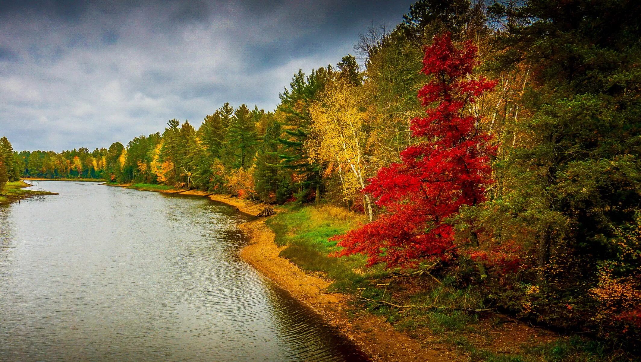 Обои на телефон река. Осень река. Осень лес река. Осенняя река. Пейзаж осени.