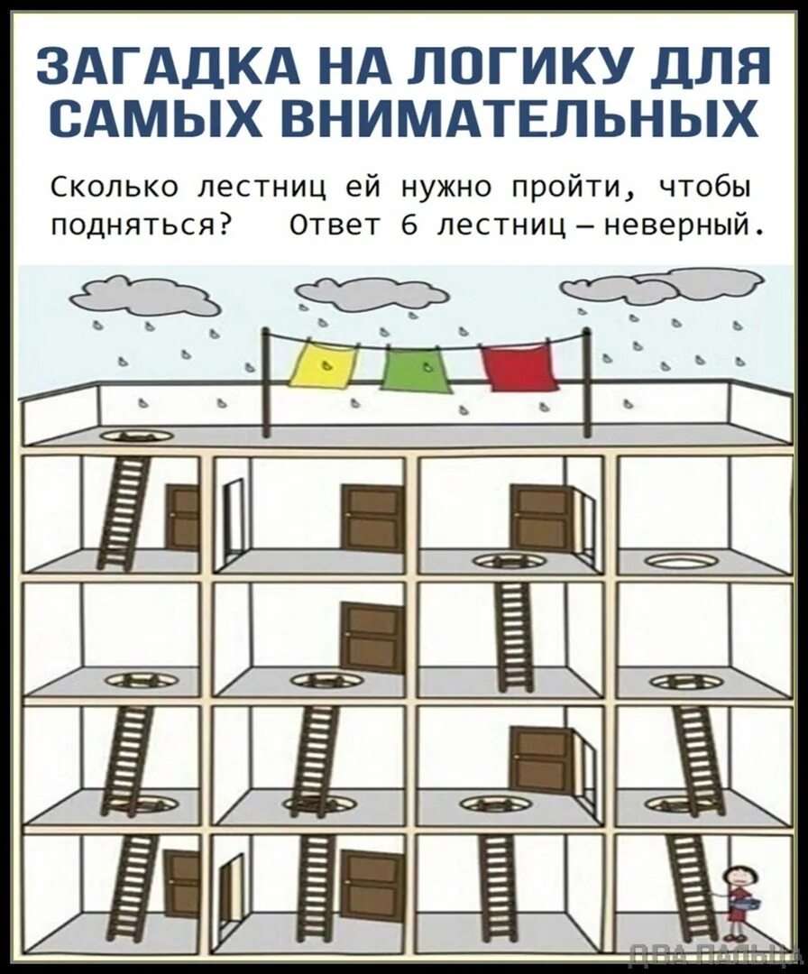 Сколько лестниц нужно подняться. Логические загадки. Задачка с лестницей. Загадки на логику. Логические загадки с ответами.