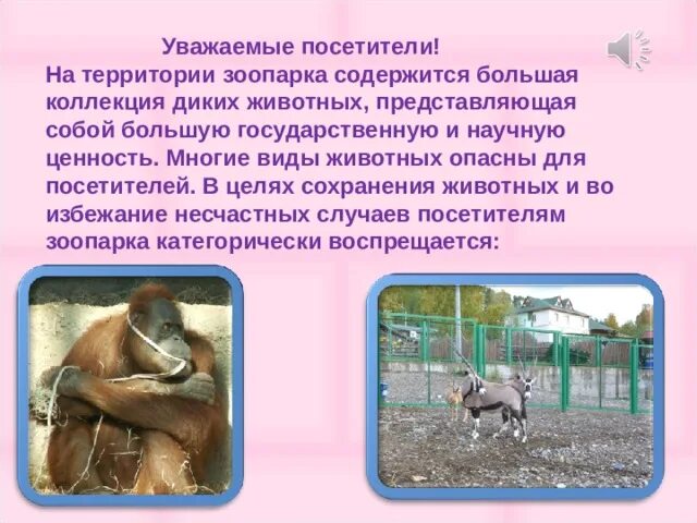 Что такое зоопарк 1 класс. Гражданина на территории зоопарка. должны ли животные содержатся в зоопарках. уважаемые посетители зоопарка не. гражданина на территории зоопарка ответ.