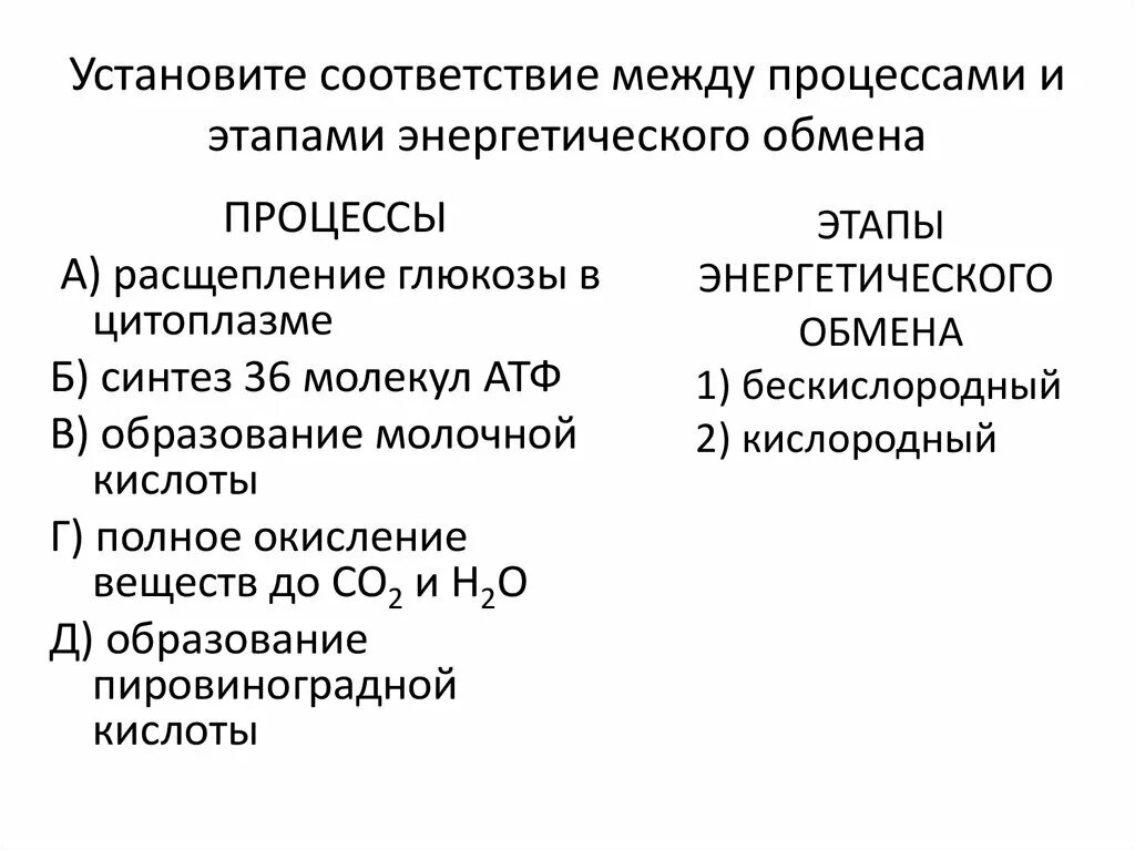 Установите соответствие между этапами энергетического обмена. Процессы и этапы энергетического обмена. Взаимосвязь процессов пластического и энергетического обмена. Последовательность процессов энергетического обмена. Совокупность реакций пластического обмена