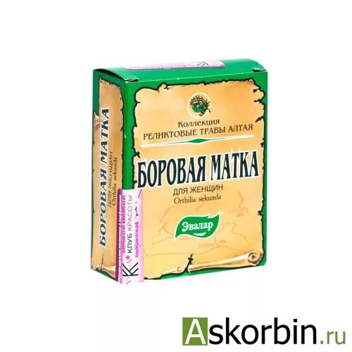 Как принимать боровую матку чтобы забеременеть. Боровая матка забеременела. Гинекологический сбор с боровой маткой. Травы для зачатия ребенка. Боровая матка для зачатия.
