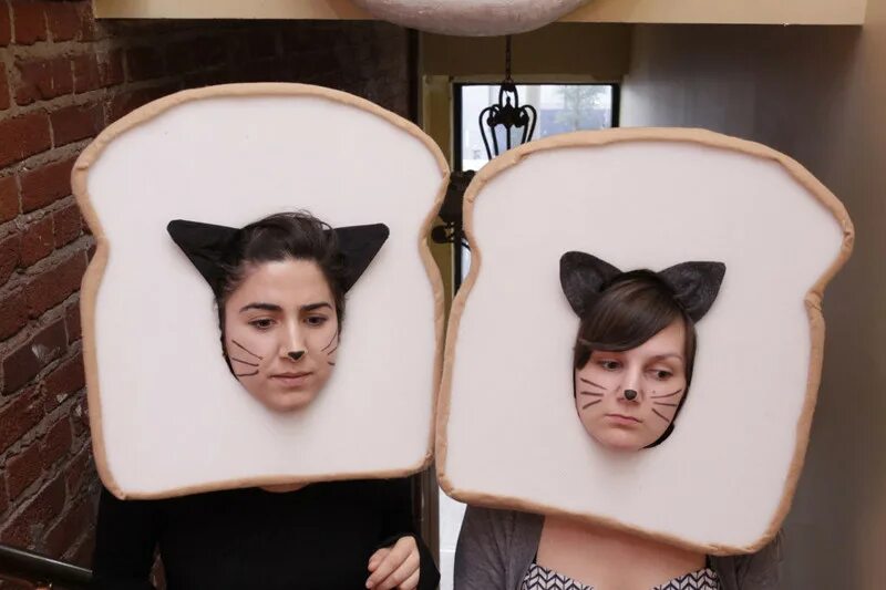 Catbread. Бутеркот. Cat Bread. Глупые способы использования пластика.