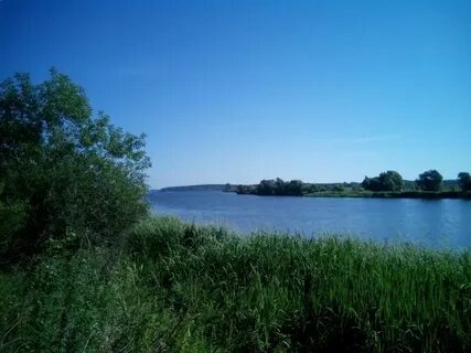 Прогноз дубно