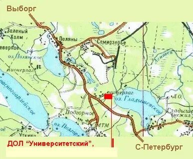 Верный поляны