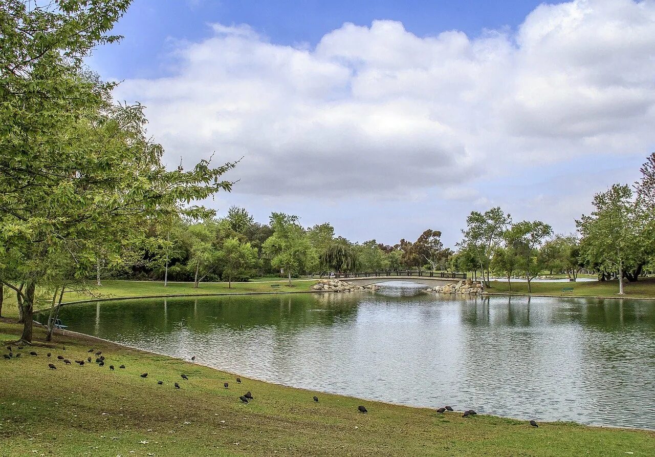 Лейк парк. Парк «озеро Койсуг. Парк Флорида Lakes Park. Парк Lago Bianco Park. Озер парк отзывы