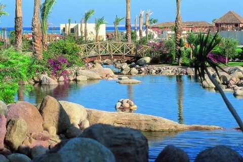 Aurora sharm resort