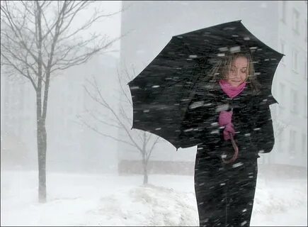 Снег с дождем пошел не беда