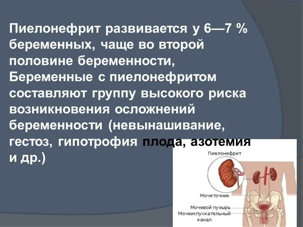 Пиелонефрит у беременной. Пиелонефрит чаще развивается. Гестационный пиелонефрит.