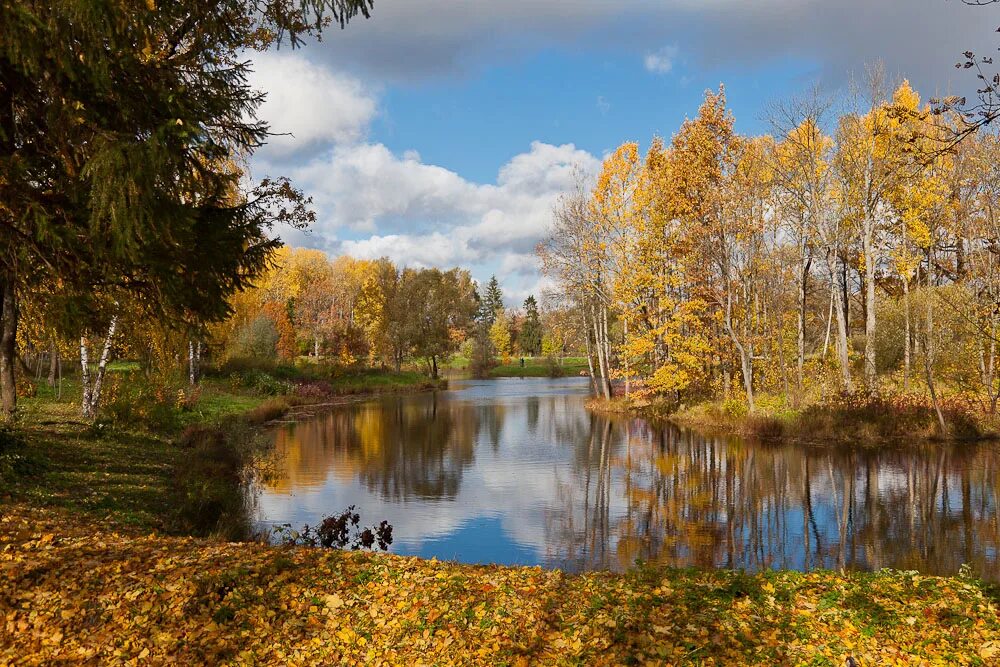 В городе Тихая осень. Сентябрь в Подмосковье природа. Осенний пейзаж фотоконкурс