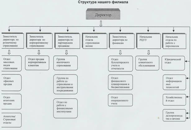 Отдел страховой компании. Организационная структура страховой компании росгосстрах схема. Росгосстрах структура управления предприятия. Структурная схема страховой компании.