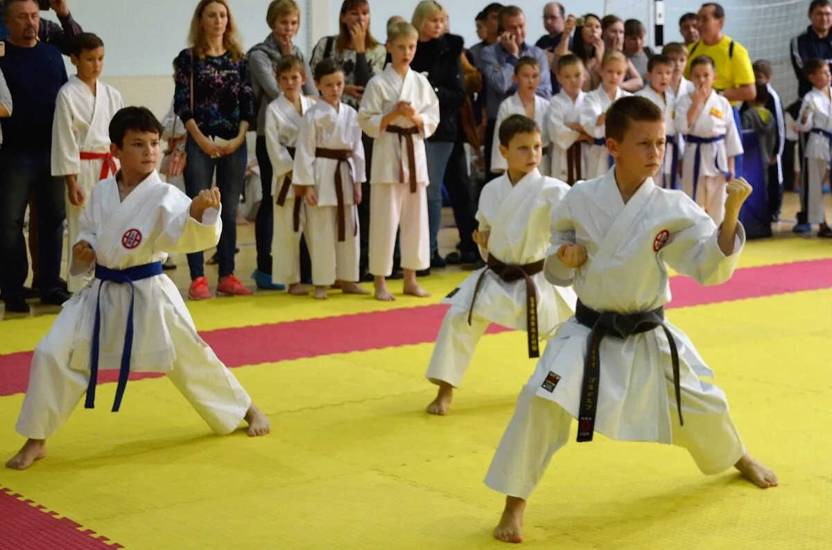 Кумите карате киокушинкай. Карате опен. Турнир по каратэ "тигр. Турнир по каратэ "тигр. Турнир по каратэ "тигр.