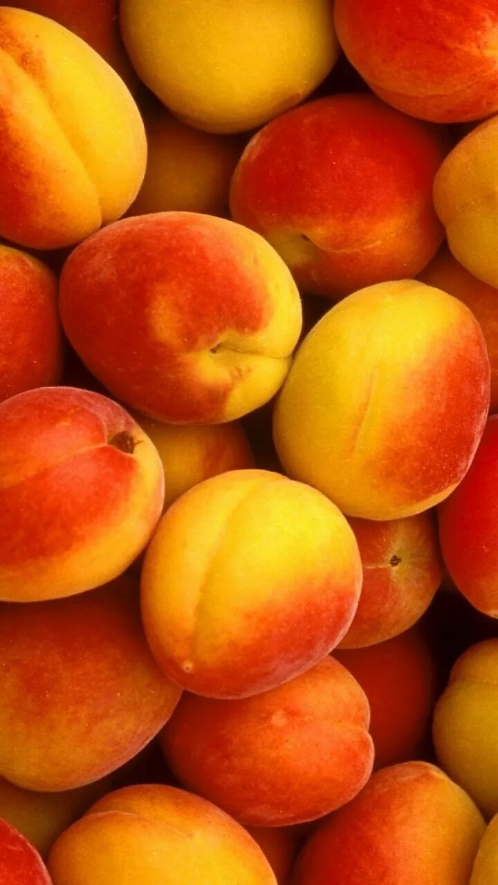 Абрикос телефоны. Абрикос жердела персик. Абрикос телефоны. Фрукты абрикосы нектарины. Абрикос телефоны.