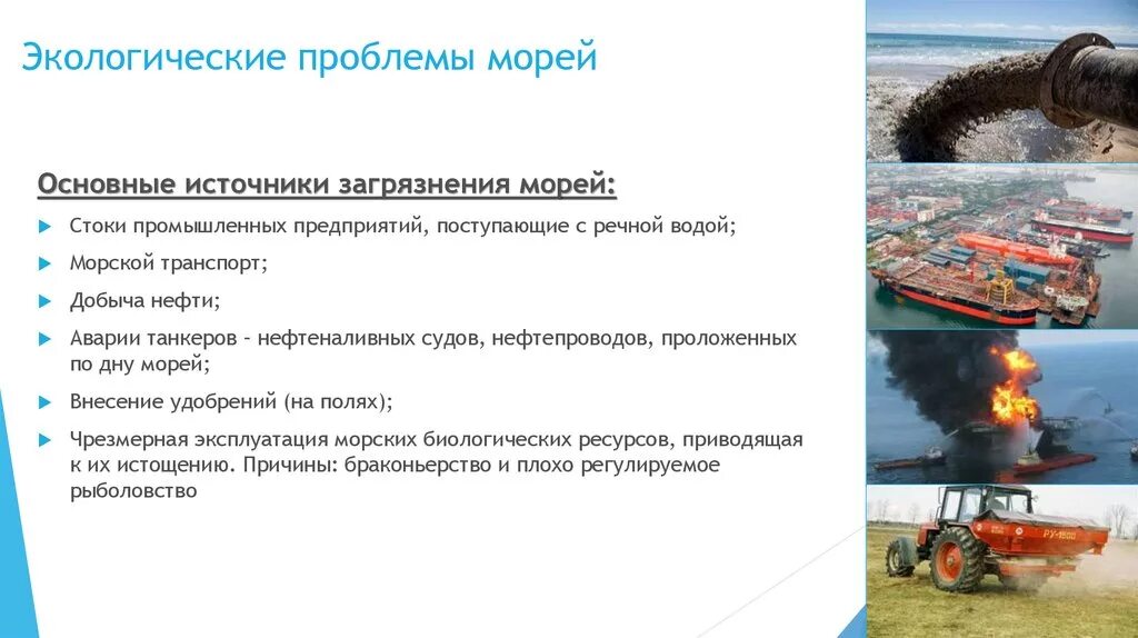 Экологические проблемы МО. Причины экологических проблем морей. Пути решения загрязнения морей. Экологические проблемы морей России. Причины природных проблем