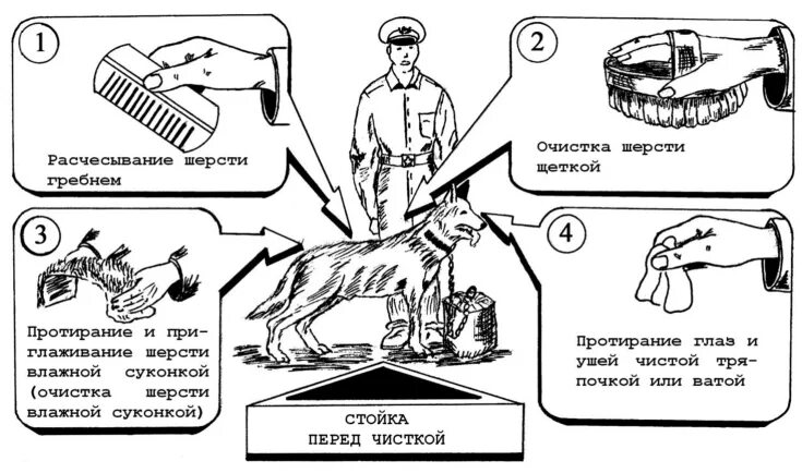 Инструкция кинолога отзывы. Инвентарь для содержания собак. Инвентарь для чистки собак. Уход за служебными собаками.