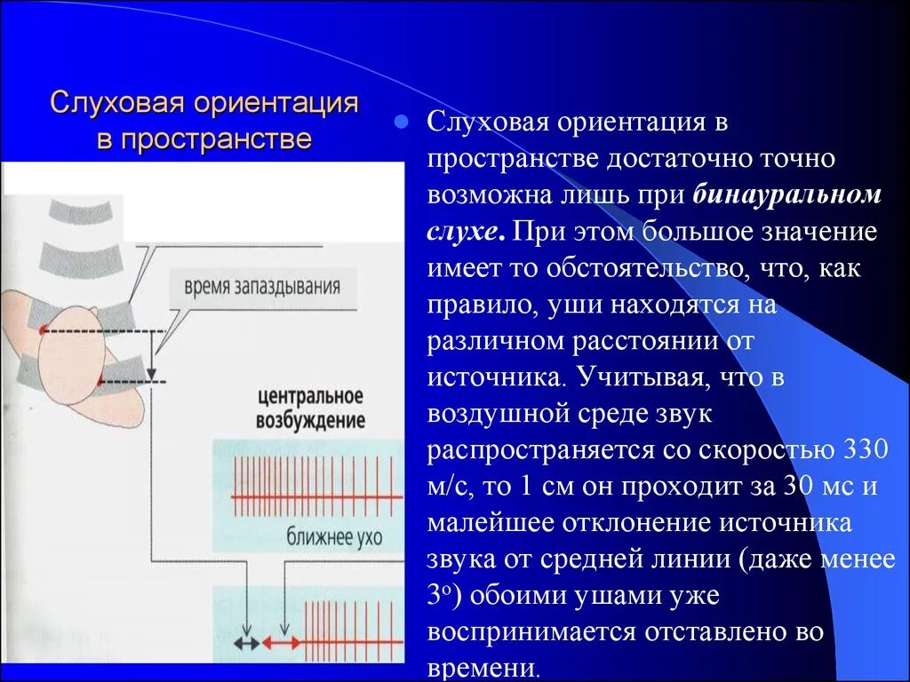 Пространство слуха. Слуховая ориентация в пространстве. слуховая ориентация в пространстве, бинауральный слух.. как осуществляется слуховая ориентация?. значение бинаурального слуха в пространственной ориентации.