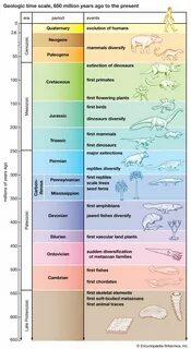 Самый длительный геологический период таблица 8 класс