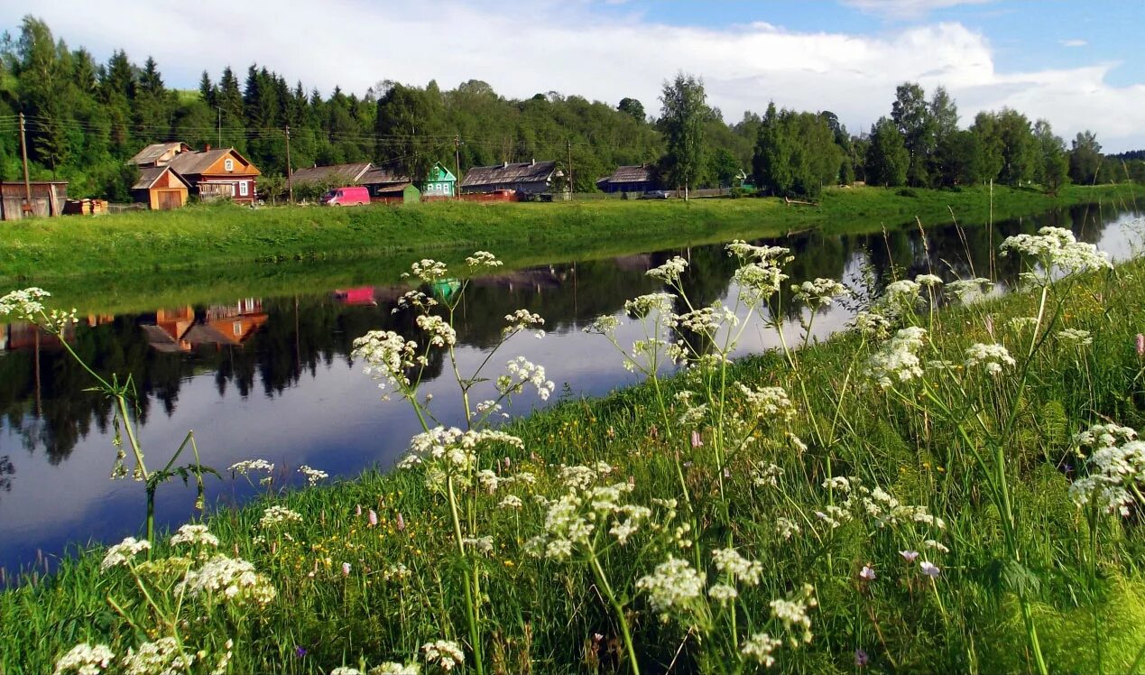 Луга река дом. Село Борисово-Судское. Борисово Судское поля. Село Борисово-Судское Вологодская область. Лето в деревне.