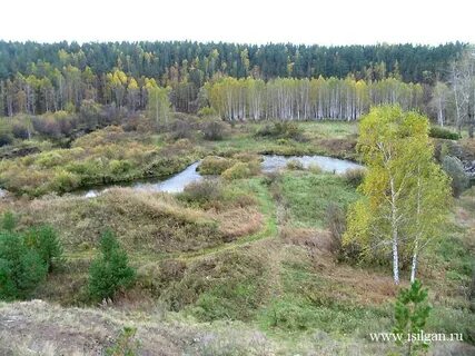 Зеленый борок курганская область