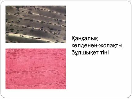 Орыс жігітті сиқыр соруға мәжбүр болды (видео)