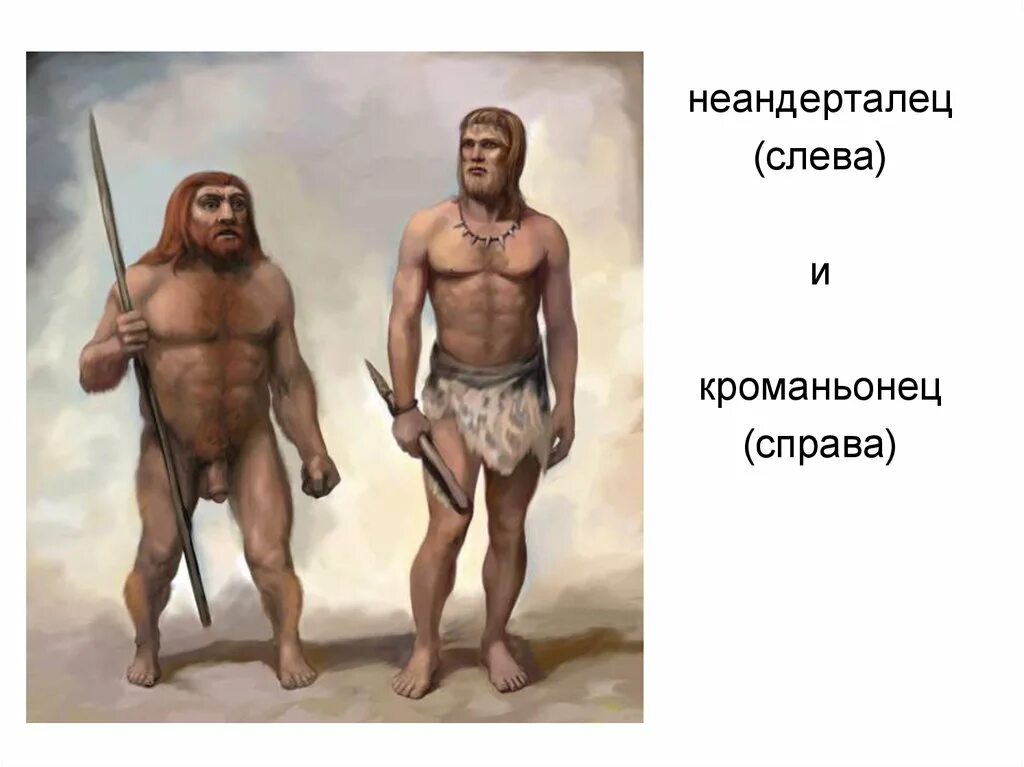 Где по мнению ученых появились первые люди. Хомо сапиенс неандерталец кроманьонец. Кроманьонец ( homo sapiens). Хомо сапиенс неандерталенсис кроманьонцы. Древние люди неандертальцы и кроманьонцы.