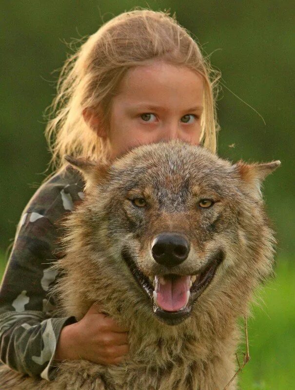 С волками жить 1. С волками жить.