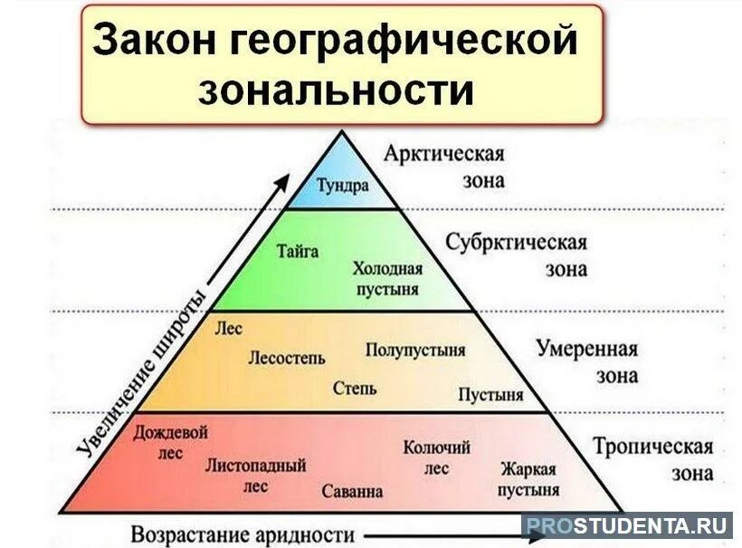 Зональные и азональные комплексы. Зональные примеры. Зональные компоненты природных комплексов. Зональные примеры. Природно-территориальный комплекс зональные и азональные.