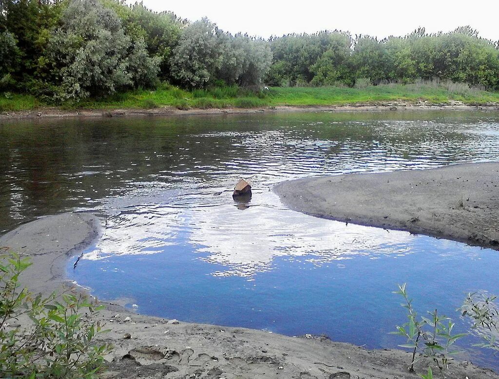 Реки Трубеж и Лыбедь. Река Лыбедь Рязань. Рязань Трубеж. Лыбедь (приток Трубежа).