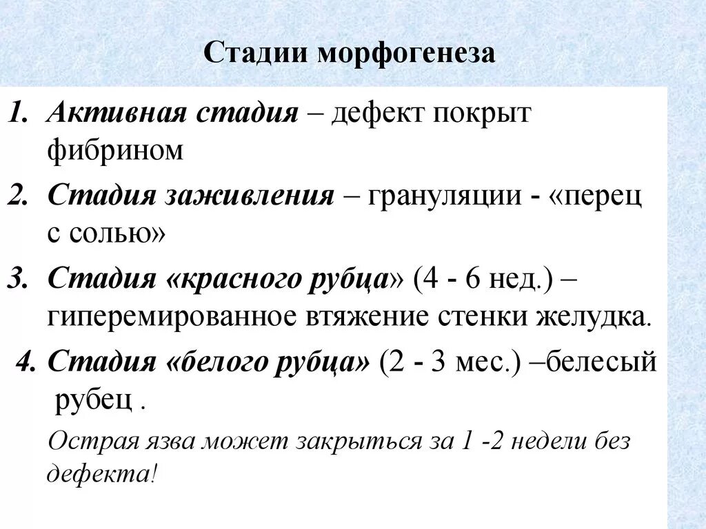 Этапы язвы. Стадии морфогенеза. Морфогенез этапы. Этапы фазы морфогенеза.