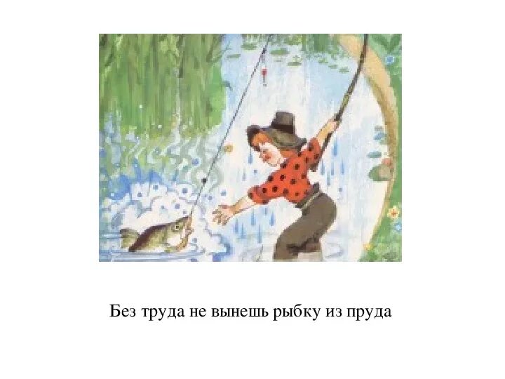 Рыбка из пруда пословица. Рыбка из пруда пословица