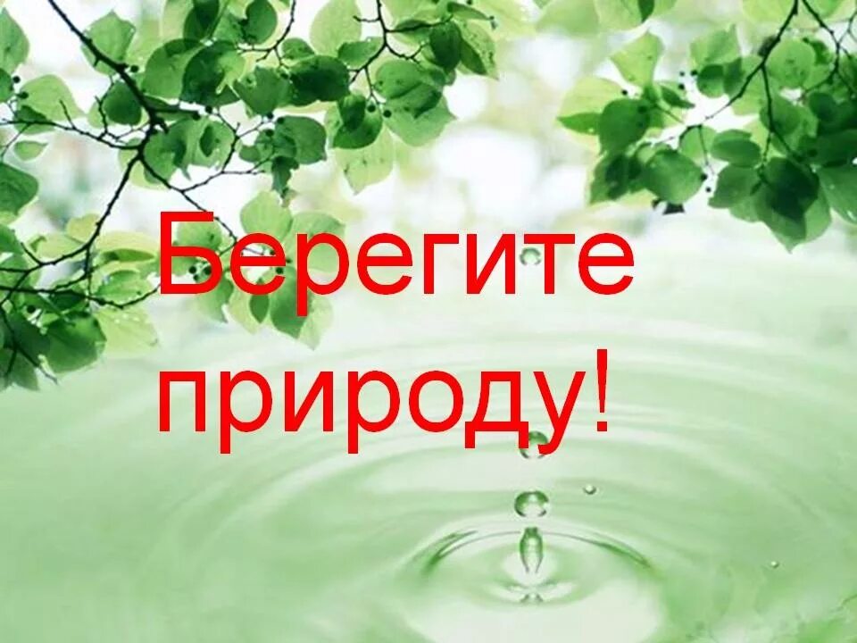 Картинки на тему берегите природу. Берегите природу. экология береги природу. berigiti prerodu. рисунок на тему природа с надписями.