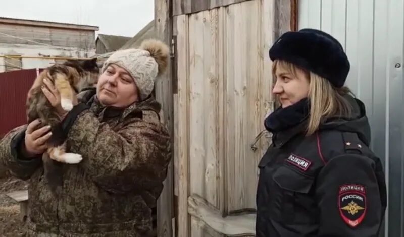 Похищение животного. Похищение котенка. кража и котики. котиков и житаев мордовия.