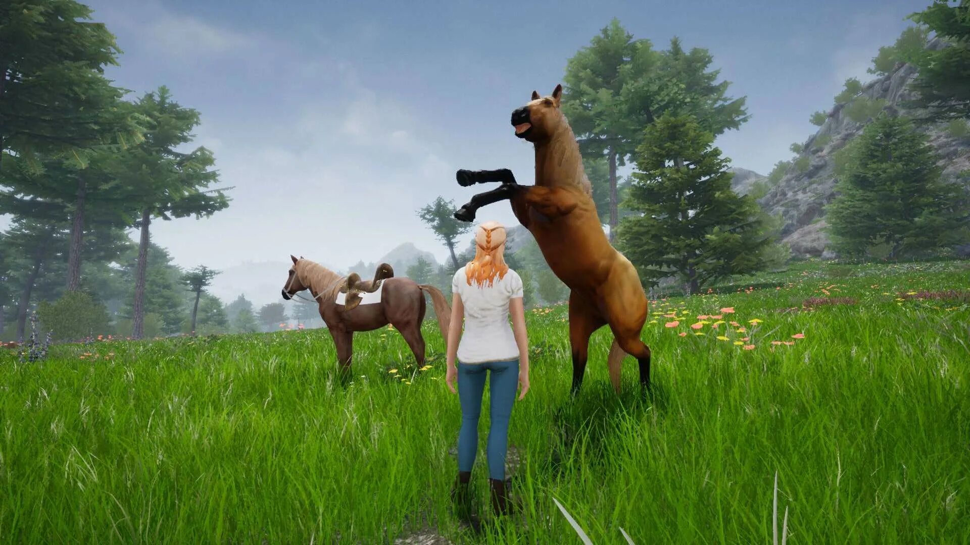 I and my horse 2. Хорс ридинг делюкс. horse riding deluxe 2. дилогия horse riding deluxe. игра про лошадь и девочку.