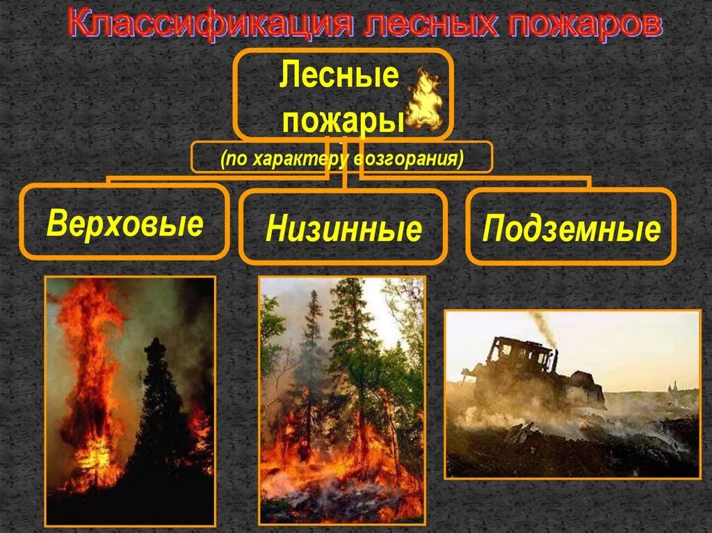 Подземный пожар и верховой. Пожары по характеру. Виды лесных пожаров. Классификация пожаров по характеру возгорания. Виды пожаров на открытом пространстве.