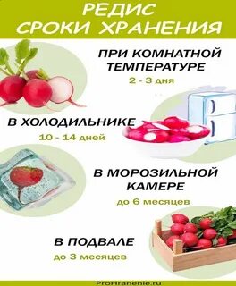 Как хранить редис в холодильнике