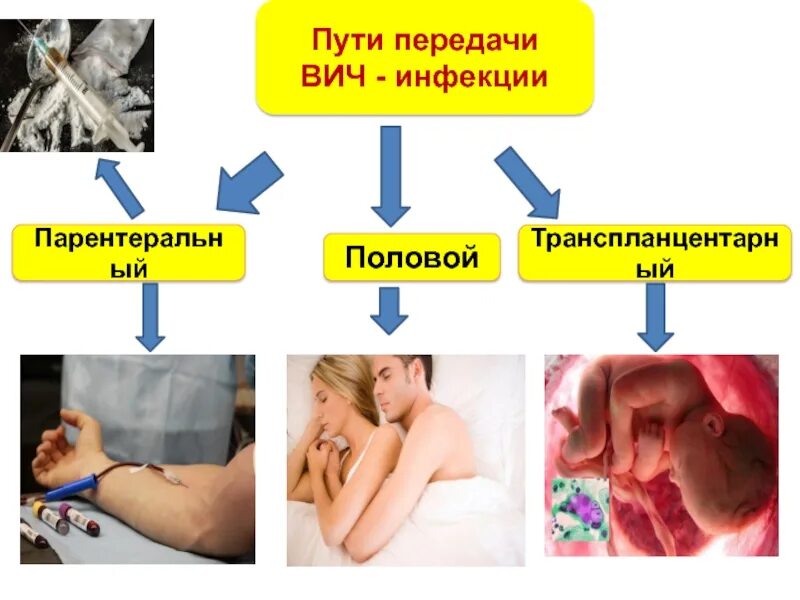 Каким путем передается герпес