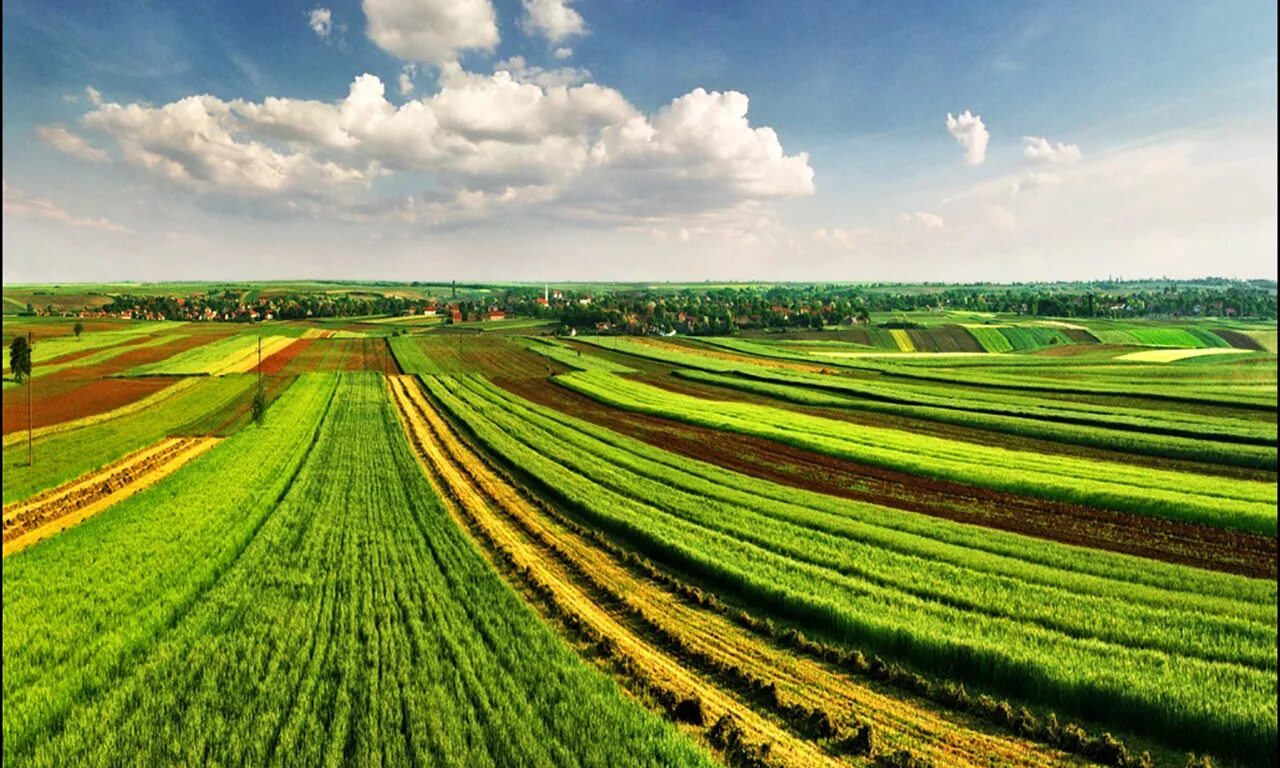 Сельскохозяйственные земли. Сельскохозяйственный ландшафт. Земли сельскохозяйственного назначения. Земля в сельском хозяйстве.