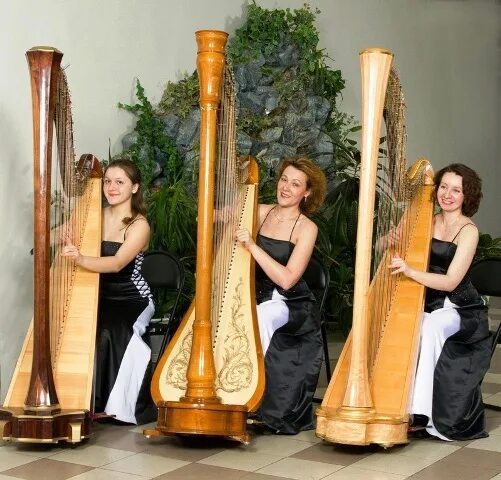 Классический струнный квартет. Трио девушек. Группа арфа. Ансамбль москва. Фотосессия музыкальной группы.