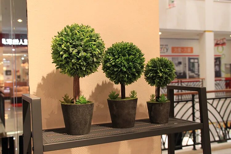 Интерьерное дерево в горшке. Магазин декоративных деревьев. Фикус билоба. Искусственные деревья для домашнего интерьера. Искусственное дерево для интерьера.