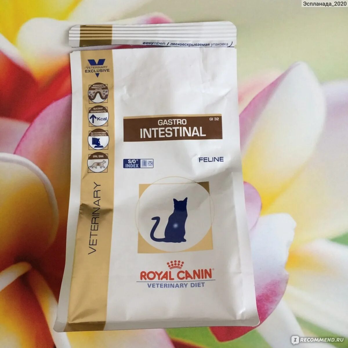 Пурина гастро интестинал для кошек. Корм для кошек проплан гастро интестинал сухой. Корм для кошек pro plan veterinary diets (1. Pro plan® veterinary diets en st/ox gastrointestinal для кошек. Purina pro plan veterinary diets gastrointestinal для кошек.