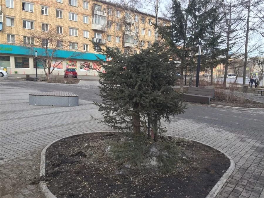 Геронтологический центр уют. Красноярск уют. Гостиница уют игра. Уютные улицы в красноярске. Гостиница уют красноярск.