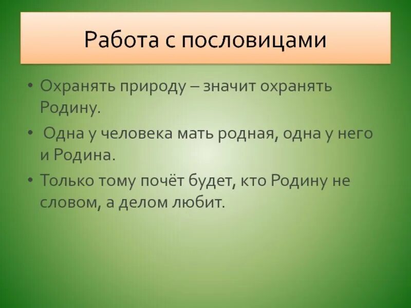 Пословица живое слово. Пословицы о природе. Поговорки о природе. Пословицы о природе 3 класс. Пословицы и поговорки о природе и человеке.