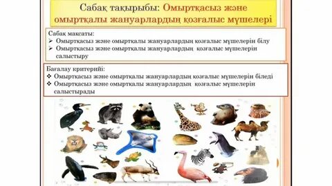 Жалаңаш жігіттер порно спортшылар