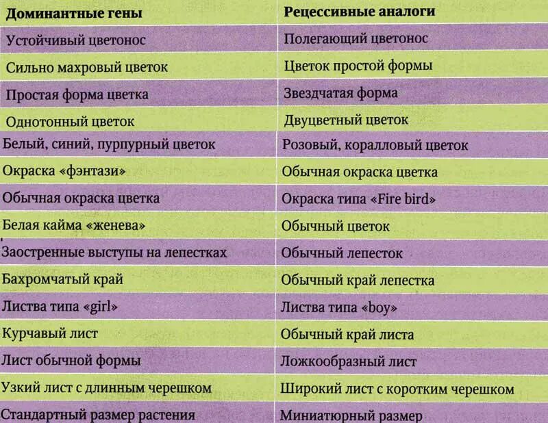 Признаки доминантного муж. Таблица доминантных и рецессивных признаков фиалок. Доминантный признак и рецессивный признак таблица. Доминантные и рецессивные признаки человека таблица. Доминирующие и рецессивные признаки человека таблица.