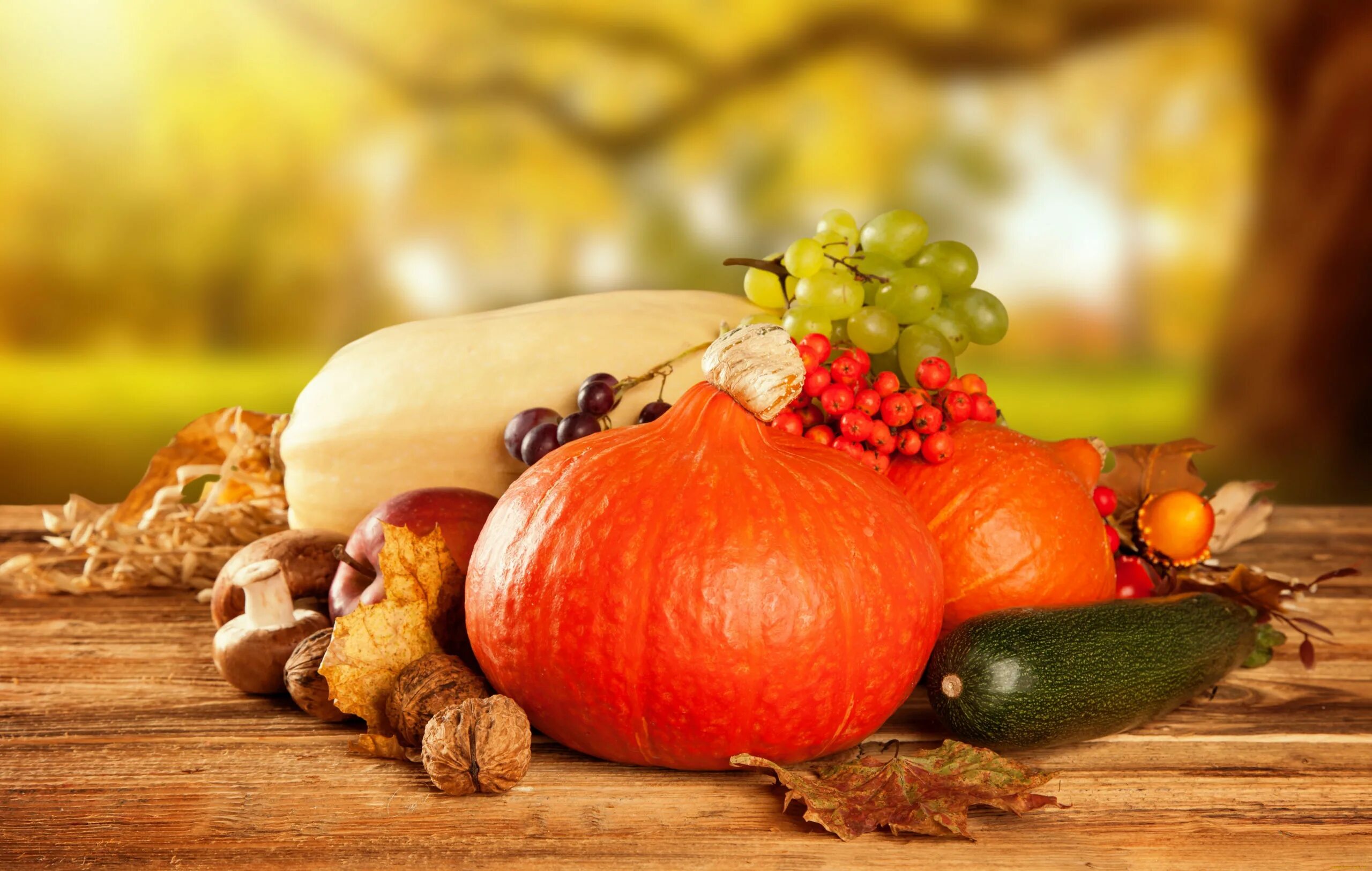 Овощи ноябрь. Осенние овощи и фрукты. Осенний урожай. Осень овощи. Осенние овощи фото.